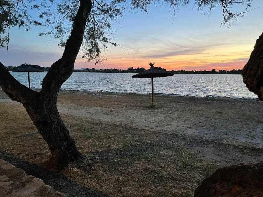 Alojamiento El Pez Casa Con Piscina Climatizada Villafranca de los Caballeros エクステリア 写真